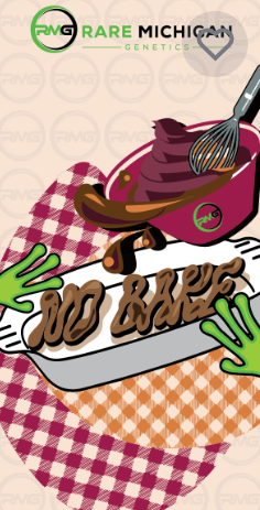 Photograph of product: Rare MI Genetics | NO Bake | Flower | 3.5g