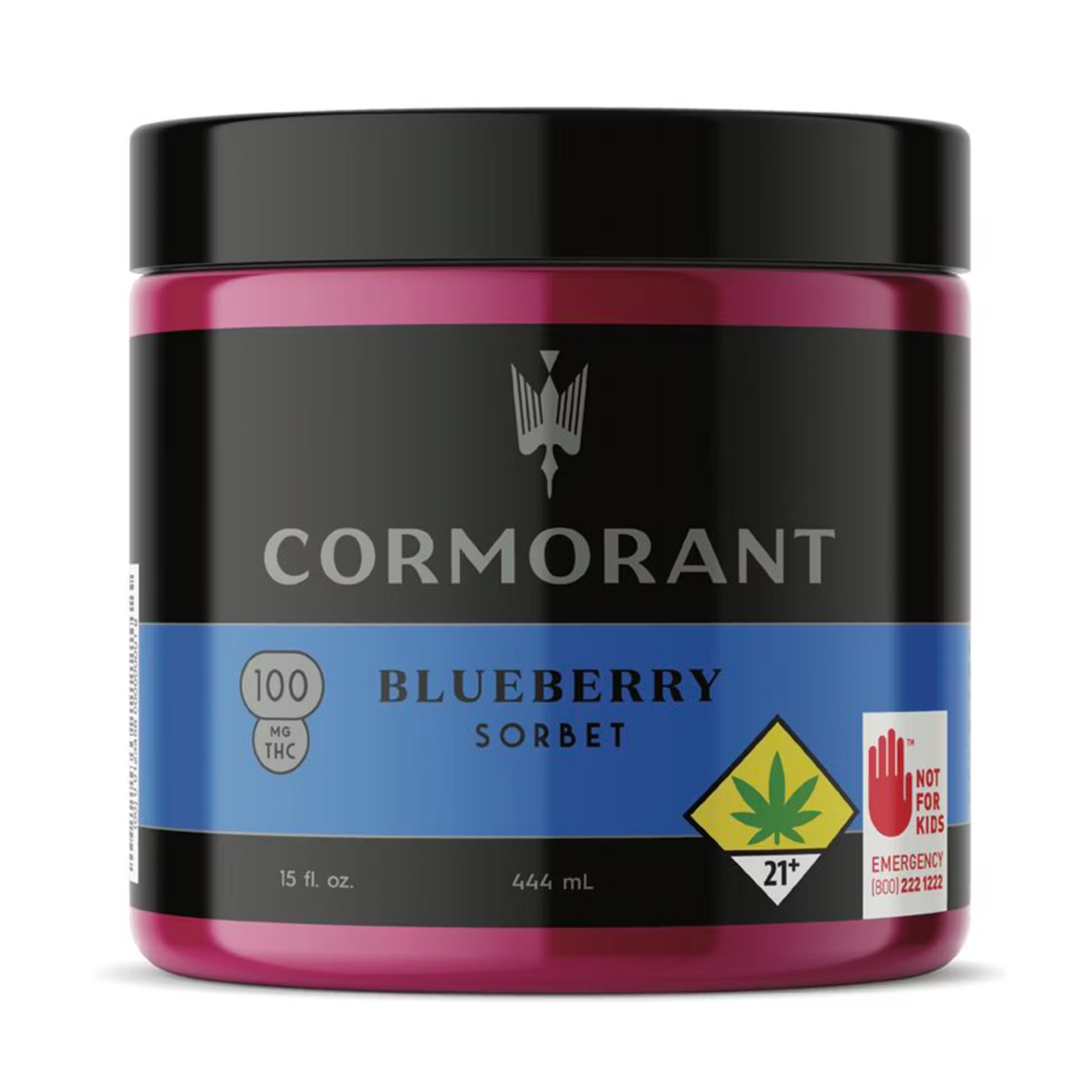 Photograph of product: Blueberry Sorbet 100mg | 4oz