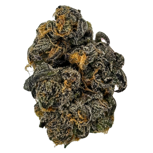 Photograph of product: Northwoods Oui'd Triple Beam - 7g
