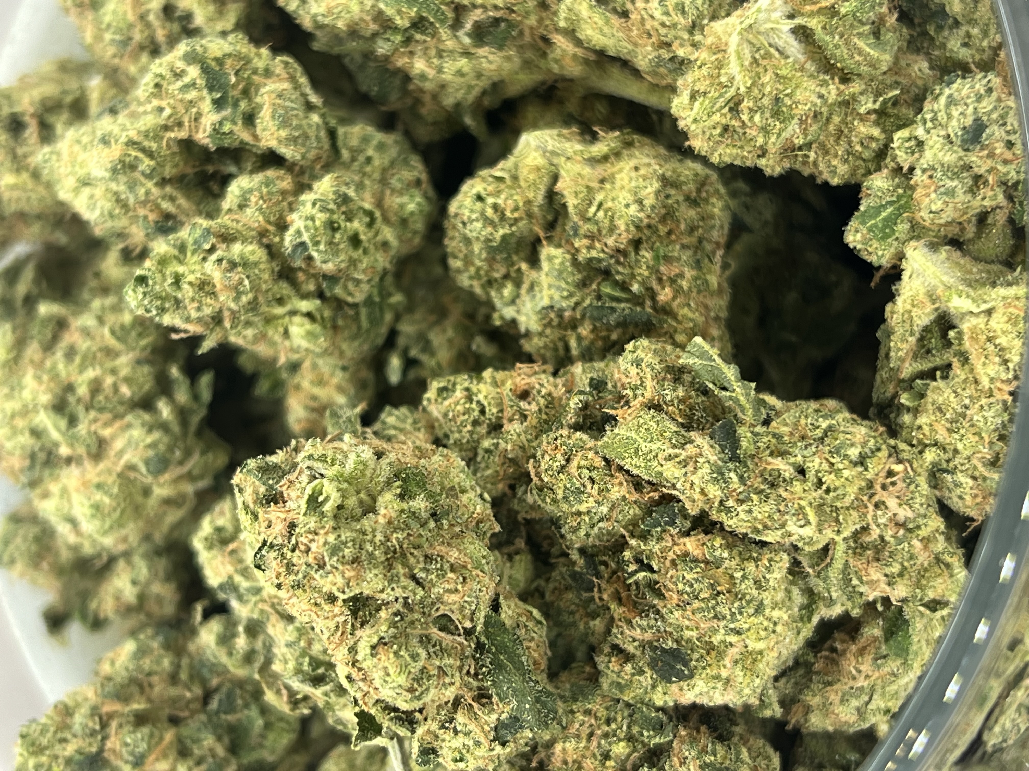 Photograph of product: Silver Shelf - Lemon Cookies (S) - 28g