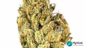 Photograph of product: Crazy Glue - 28g