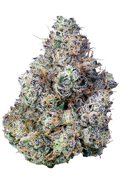 Photograph of product: Fractal | Animal Tsunami | 3.5g