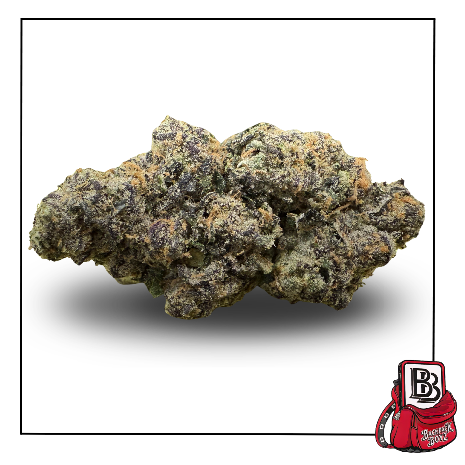 Photograph of product: Prime Runtz - Bulk Flower - 28g