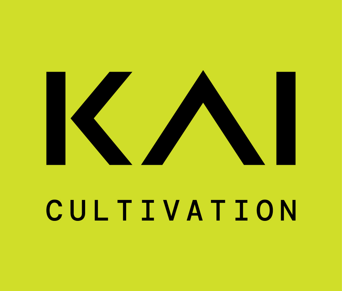 Logo for img-fluid: KAI