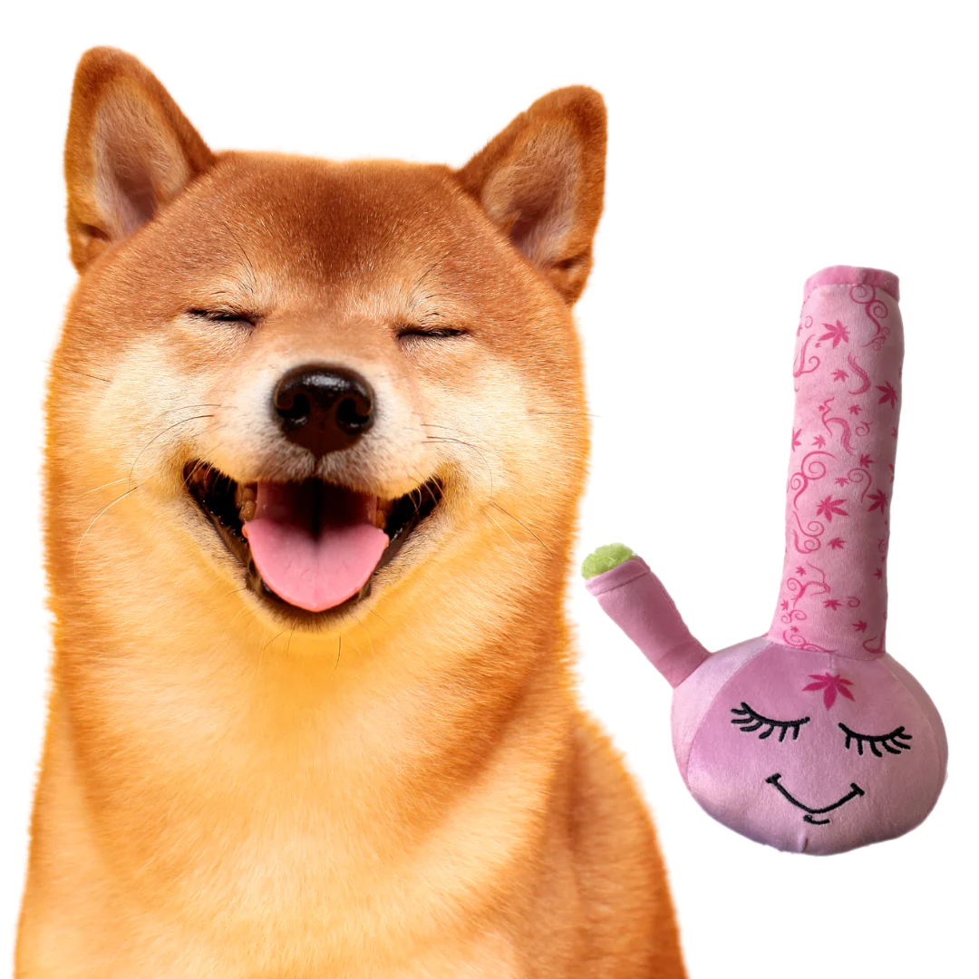Photograph of product: PAW:20 | Dog Toy | Harmony Bong