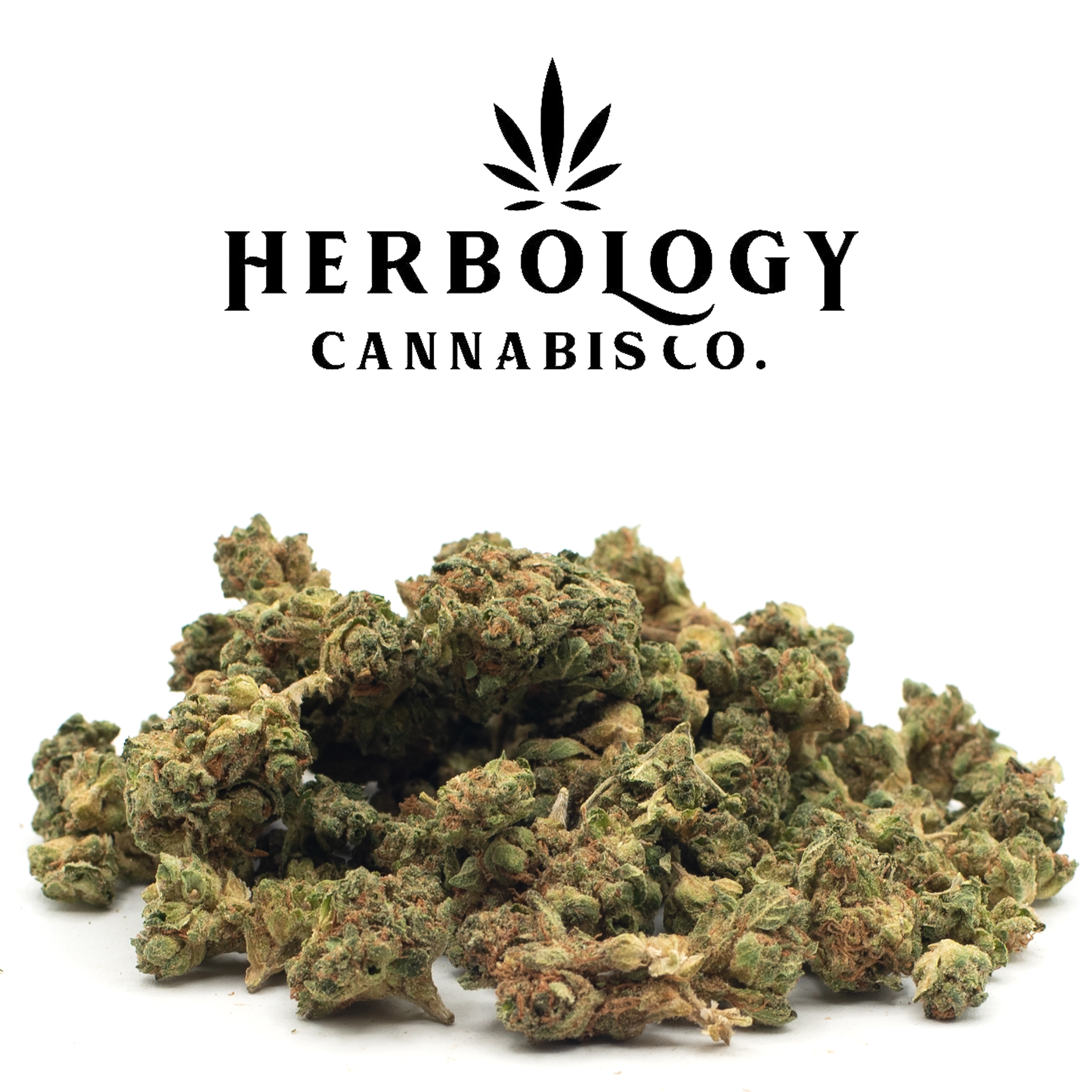 Photograph of product: Fluresh | Black Banana | Smalls | Deli - 28g