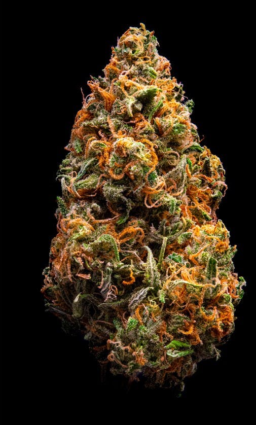 Photograph of product: Golden Goat - 3.5g - Local Roots
