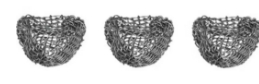 Photograph of product: Screens - Shire Replacement - 3pk