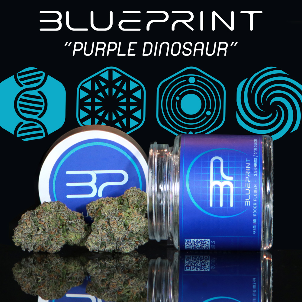 Photograph of product: Purple Dino - 7g