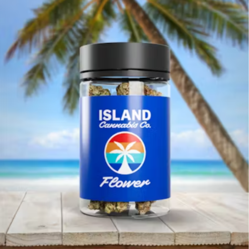 Photograph of product: ISLAND | Garlic Z Bulk Popcorn 1/2oz - Oui'd