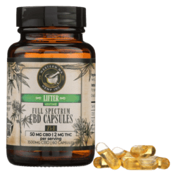 Photograph of product: Lifter | 375mg Capsules | Western Mass Hemp