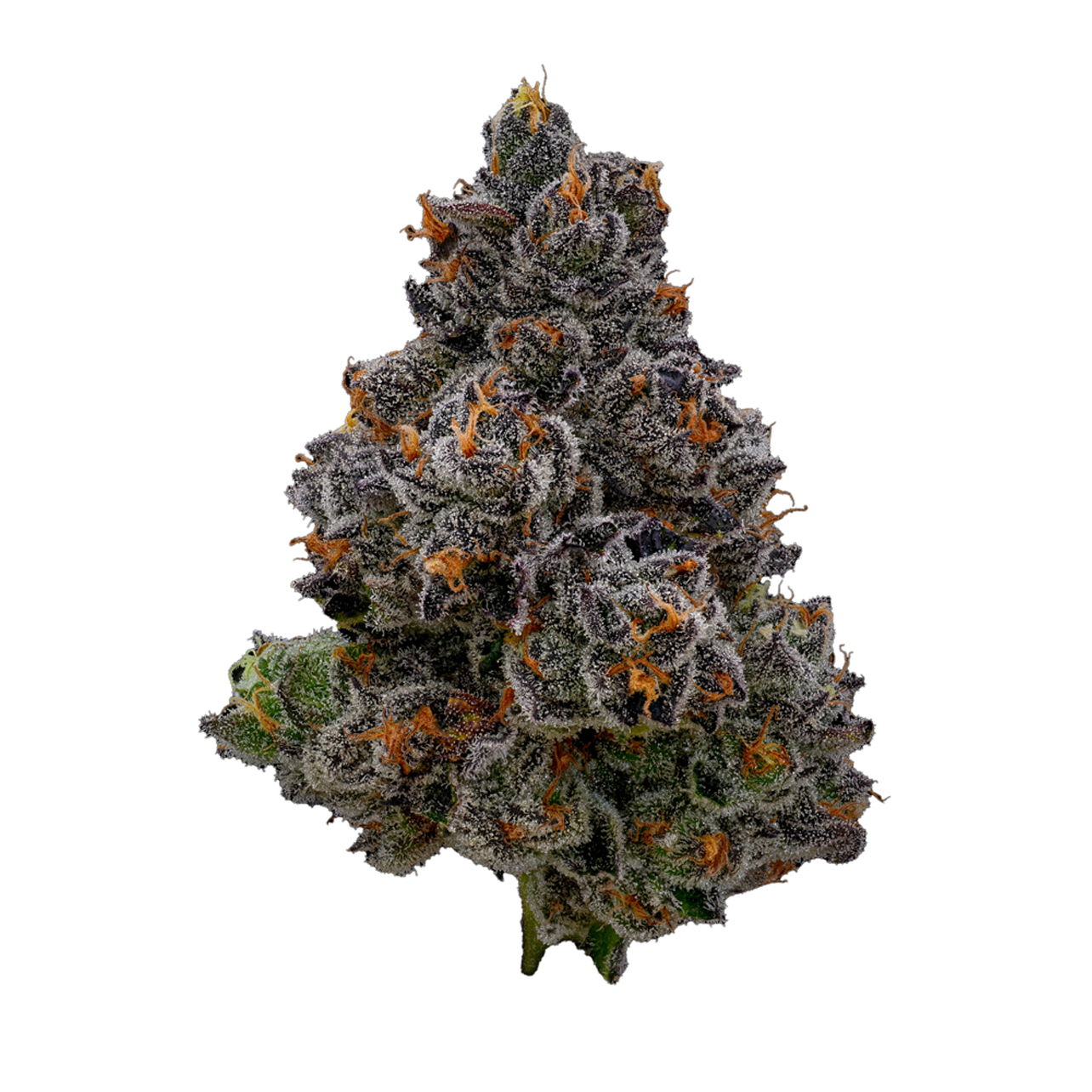 Photograph of product: GDF - Flower - Buds - Gaschata 1 - Hybrid - 3.5G - Silver
