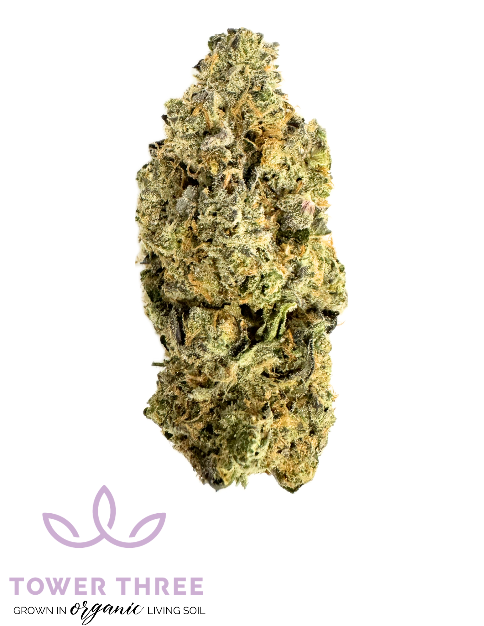 Photograph of product: Taunton Cookie | 1g Pre-Roll | Tower Three