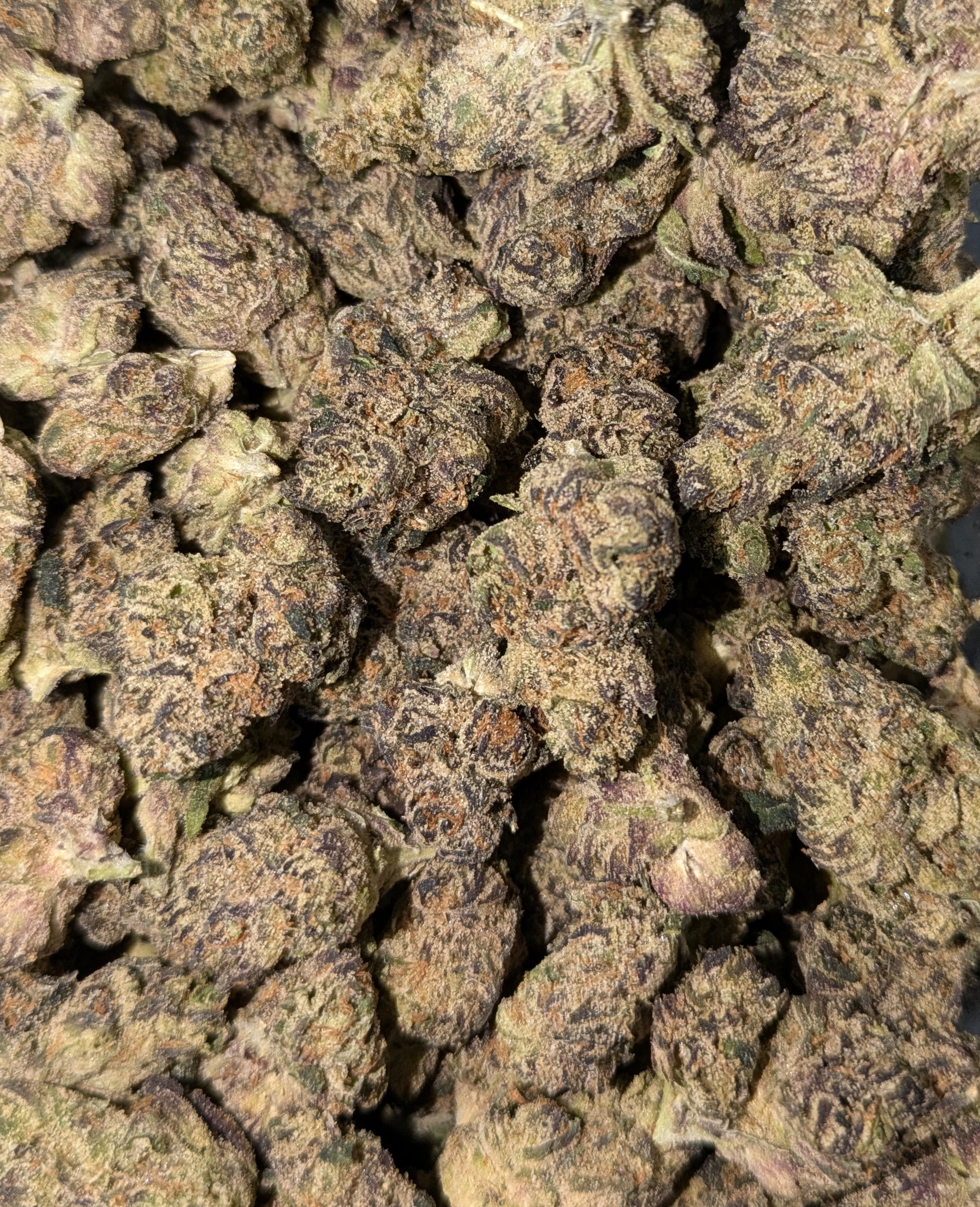 Photograph of product: Fire Tier - Pleasantrees - Butter Runtz Bulk Buds - 28g