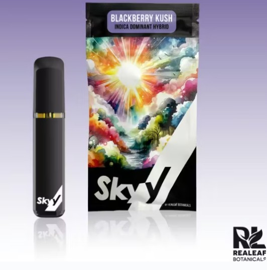 Photograph of product: Blackberry Kush Disposable ( H ) | 2.5g