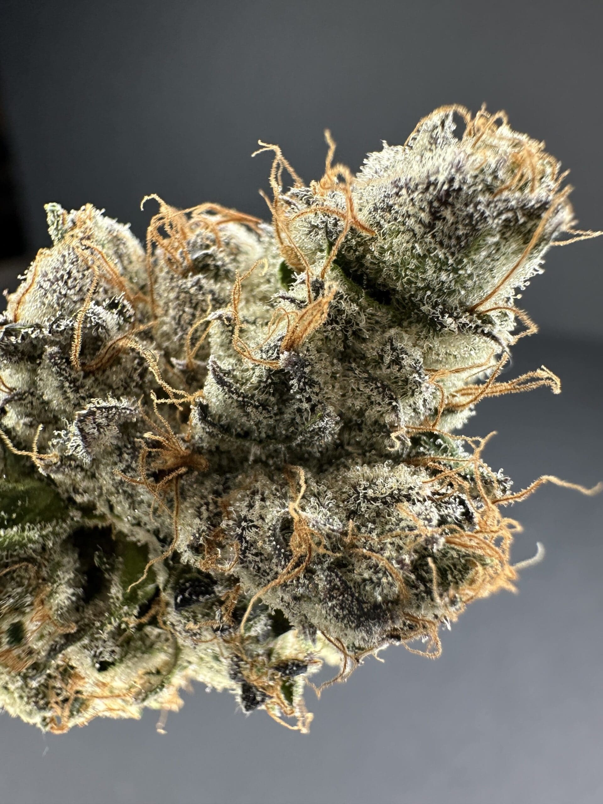 Photograph of product: Flower | Grape Mochi - 3.5g