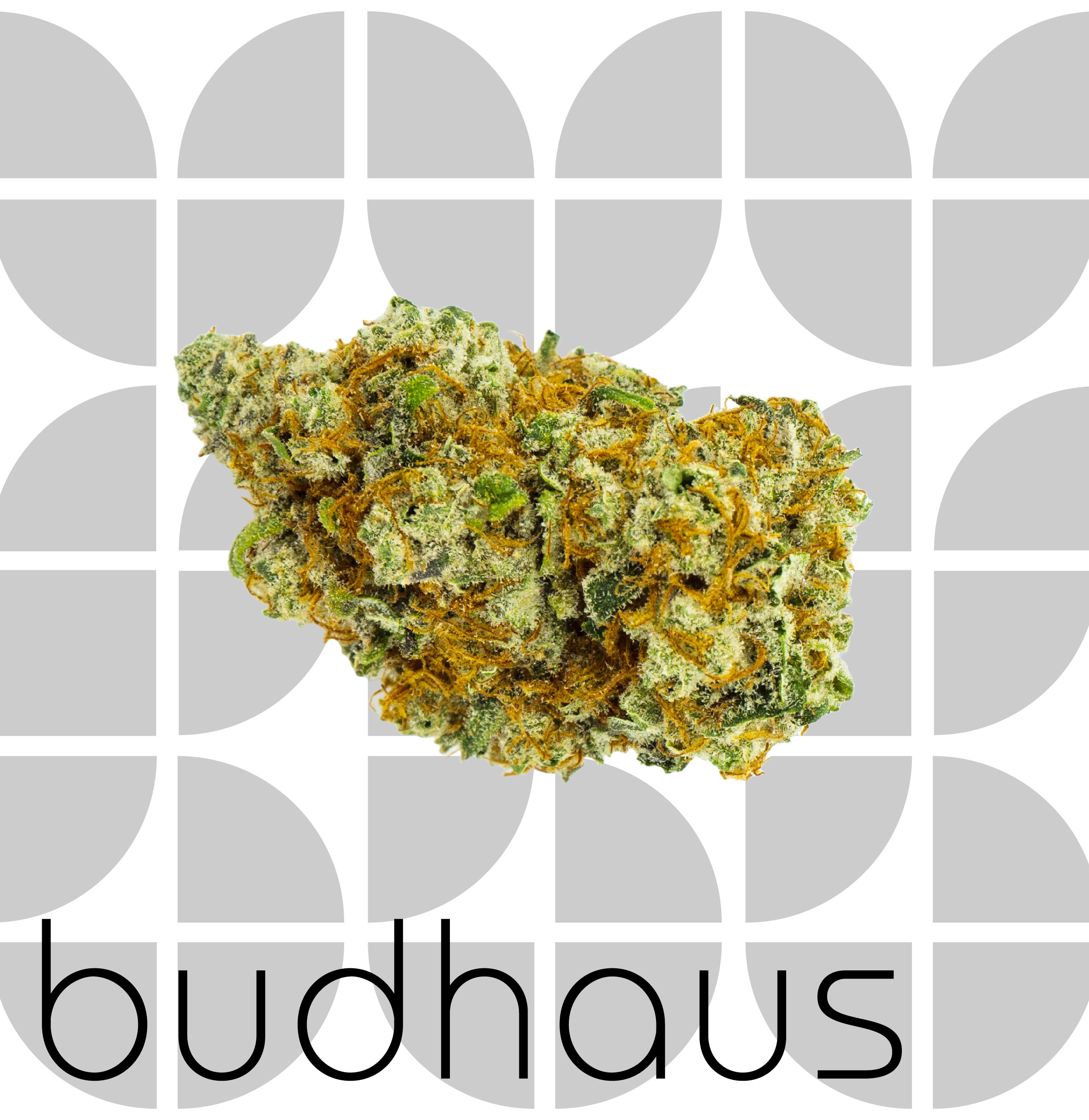 Photograph of product: Tropicana Punch - 1 ounce - 28g