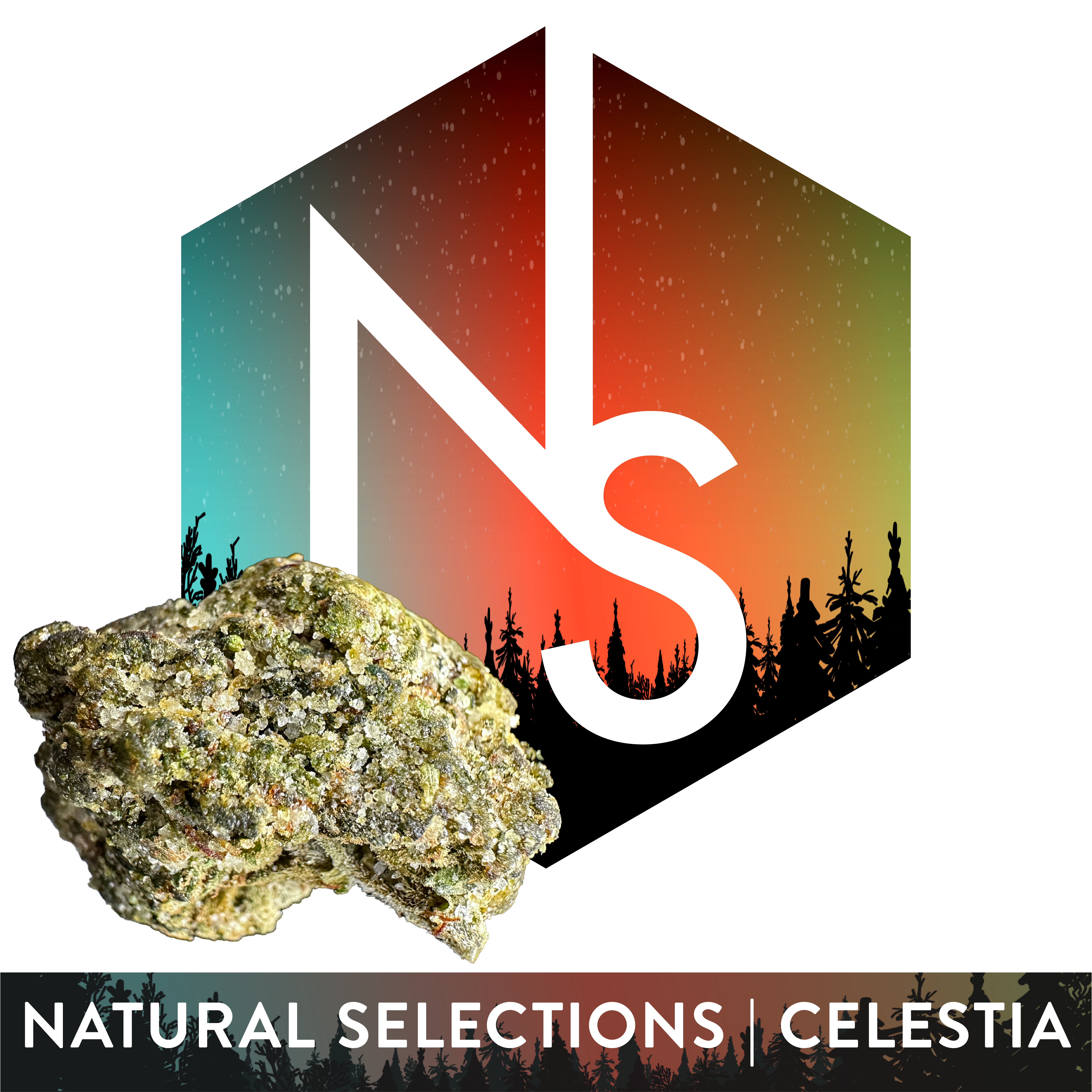 Photograph of product: Superboof x Tropicana C | Celestia Infused Flower | 7g