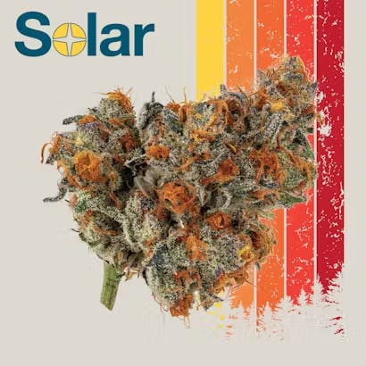 Photograph of product: Flower | Solar Oui'd | Jokerz Candy | 3.5g