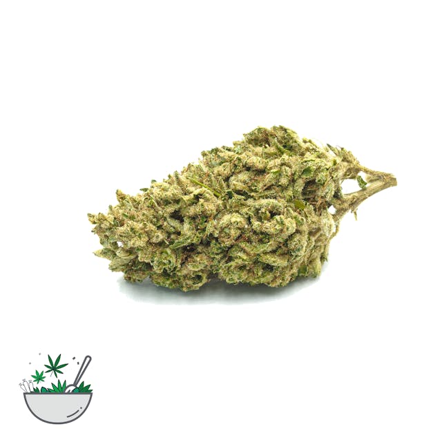 Photograph of product: Original Glue Smalls (1/8oz) - Original Glue Mixed Green 1/8oz