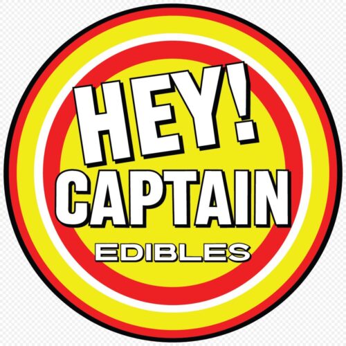 Logo for img-fluid: Hey Captain