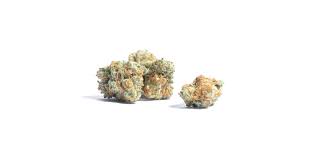 Photograph of Product: Graham Cracker - Hybrid - 3.5g