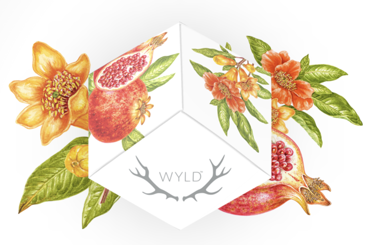 Photograph of product: WYLD GUMMIES POMEGRANATE 1:1 TH-oui:CBD 10MG TH-oui 10MG CBD EACH (100MG) TH-oui PER PACK