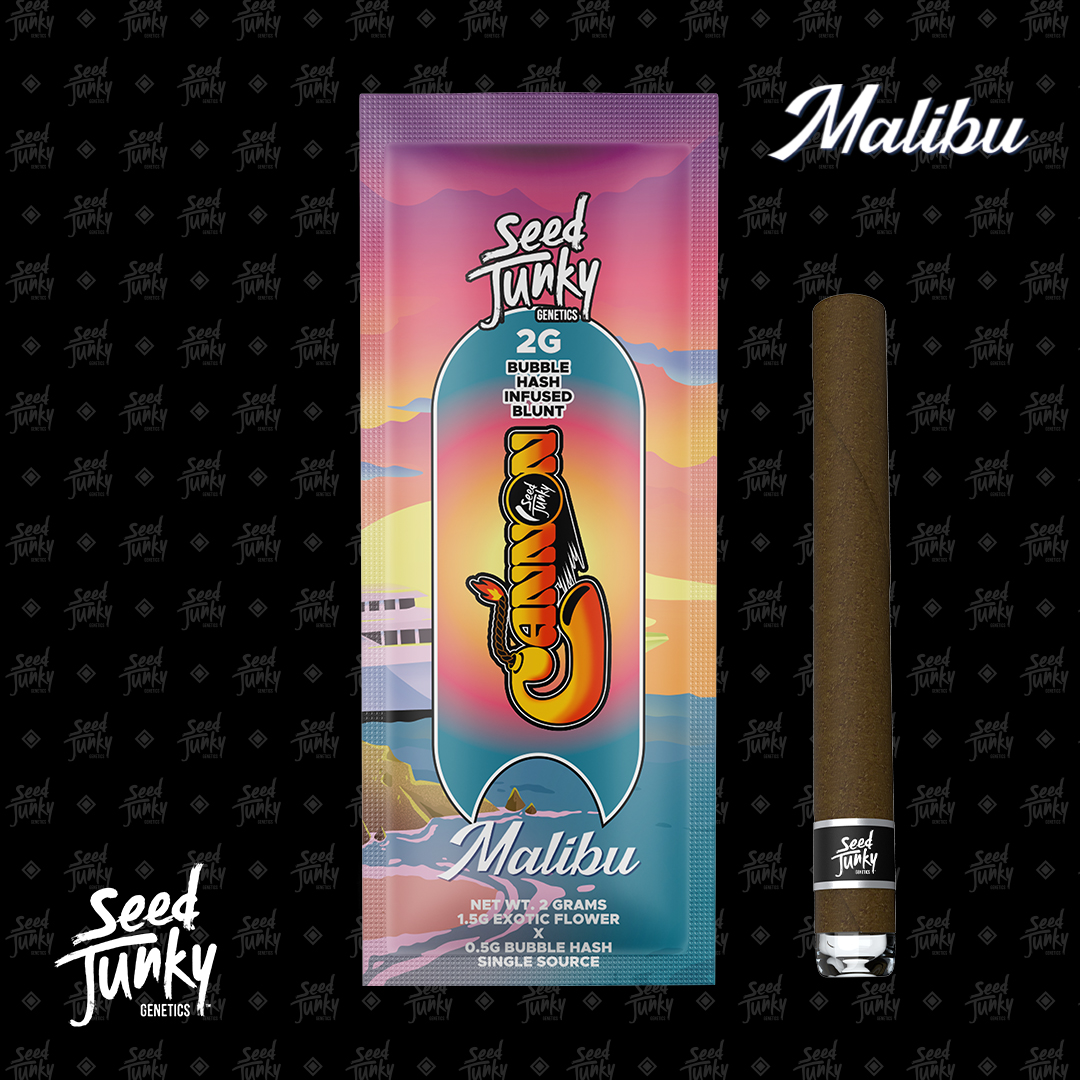 Photograph of product: Infused Blunt | Malibu | Cannon | 2g | Seed Junky