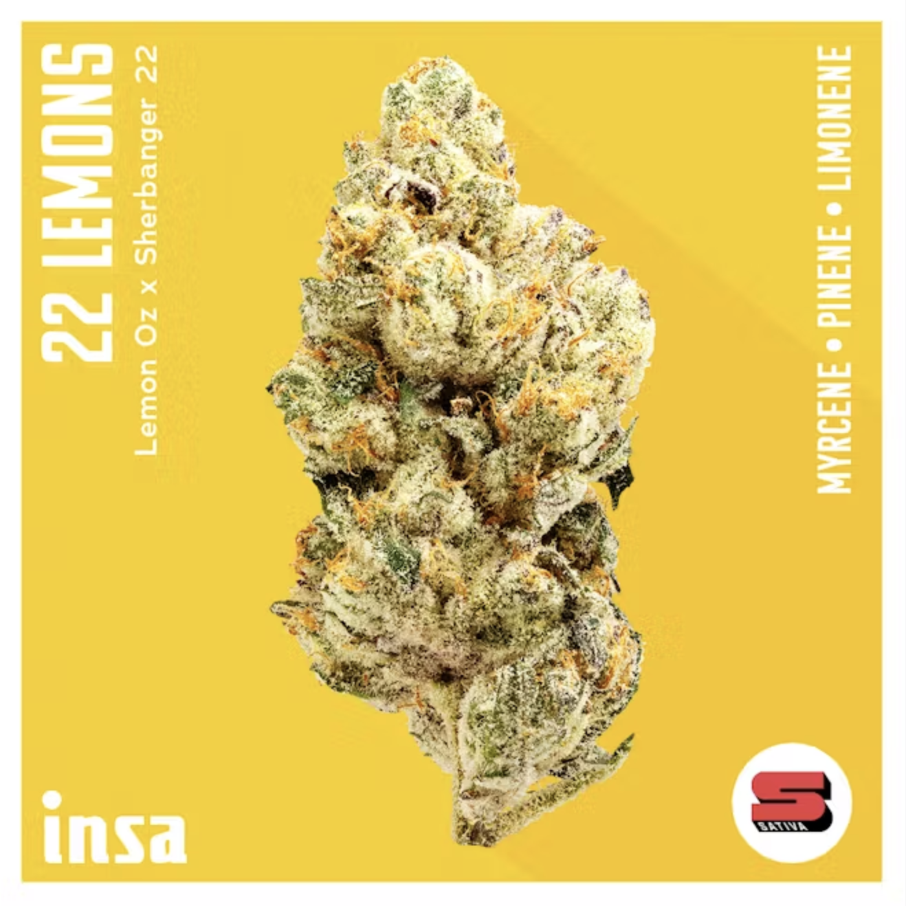 Photograph of product: INSA | 22 Lemons [0.5g]