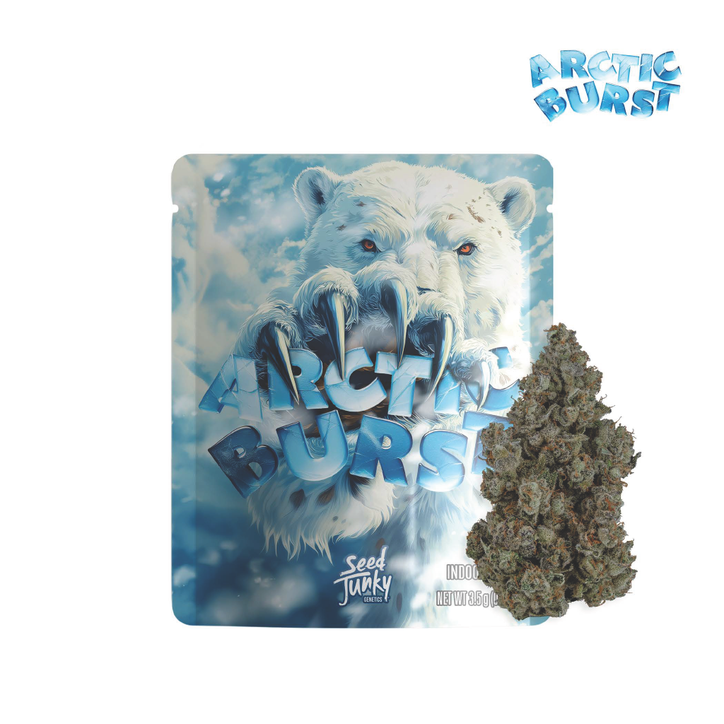 Photograph of product: ARCTIC BURST