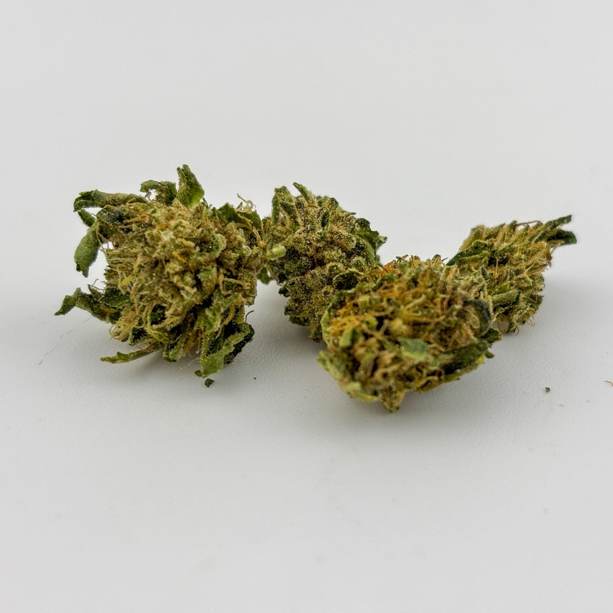 Photograph of product: Alta Gardens | Flower [H] | Jealousy Gelato