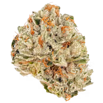 Photograph of product: Propaganda | Garlic Breath | Pre-roll, 1g