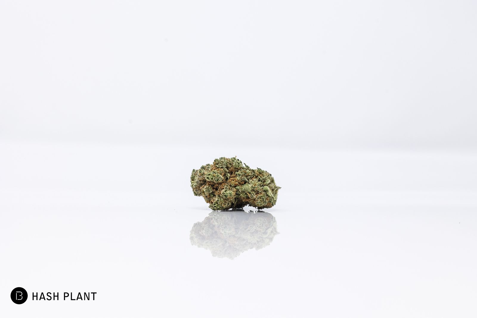 Photograph of product: au chocolatPlant | Flower - 14g
