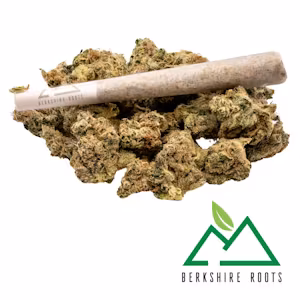 Photograph of product: Strawberry Fritter 1g