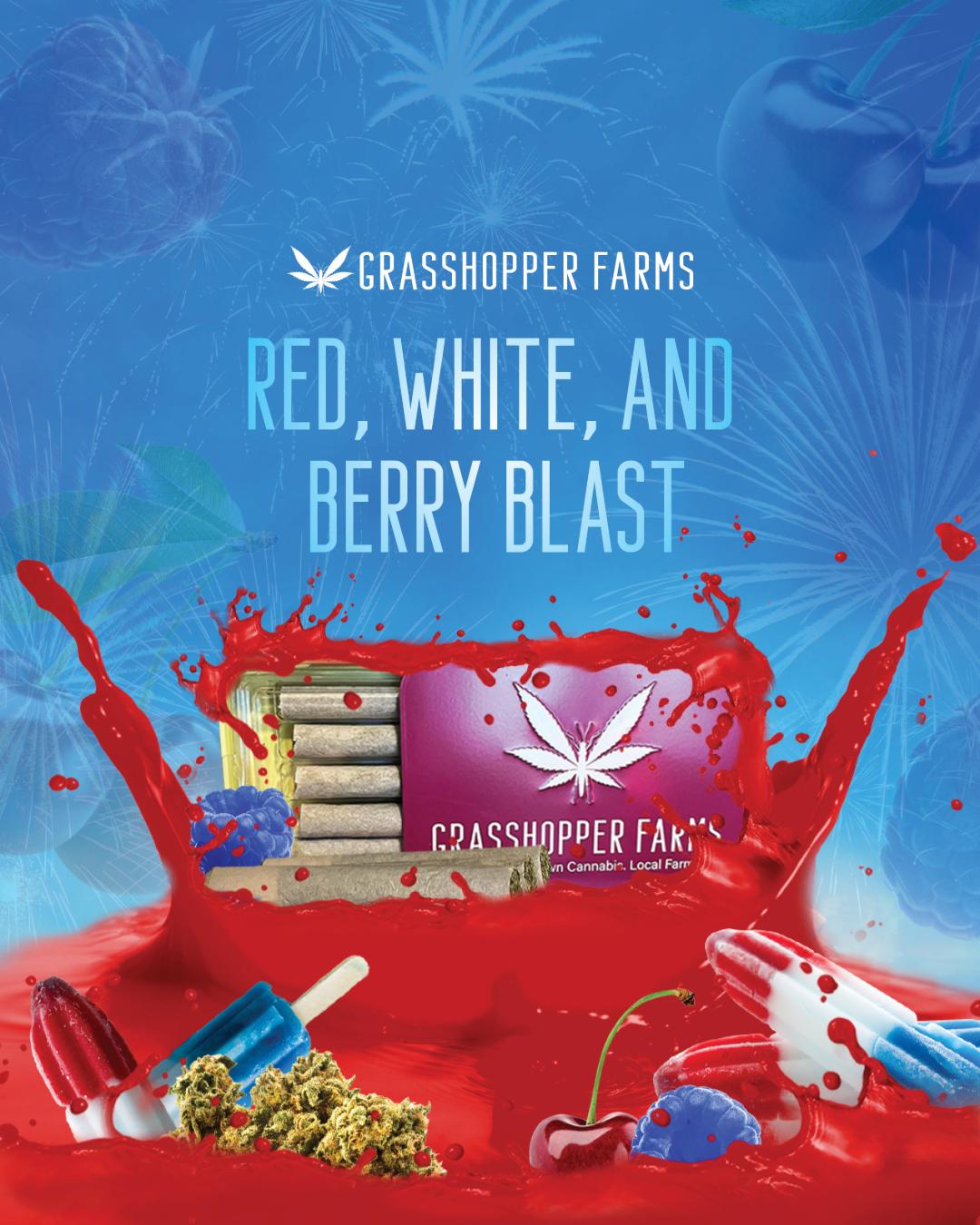 Photograph of product: Grasshopper Farms - 1g Infused Preroll - Red, White, & Berry Blast