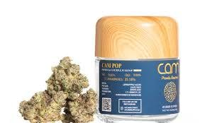 Photograph of product: CAM Pop (3.5g) - 