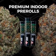 Photograph of Product: Honey Green Gabana Preroll (1g)