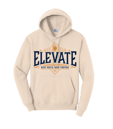 Photograph of Product: Classic Logo Cream Hoodie | S