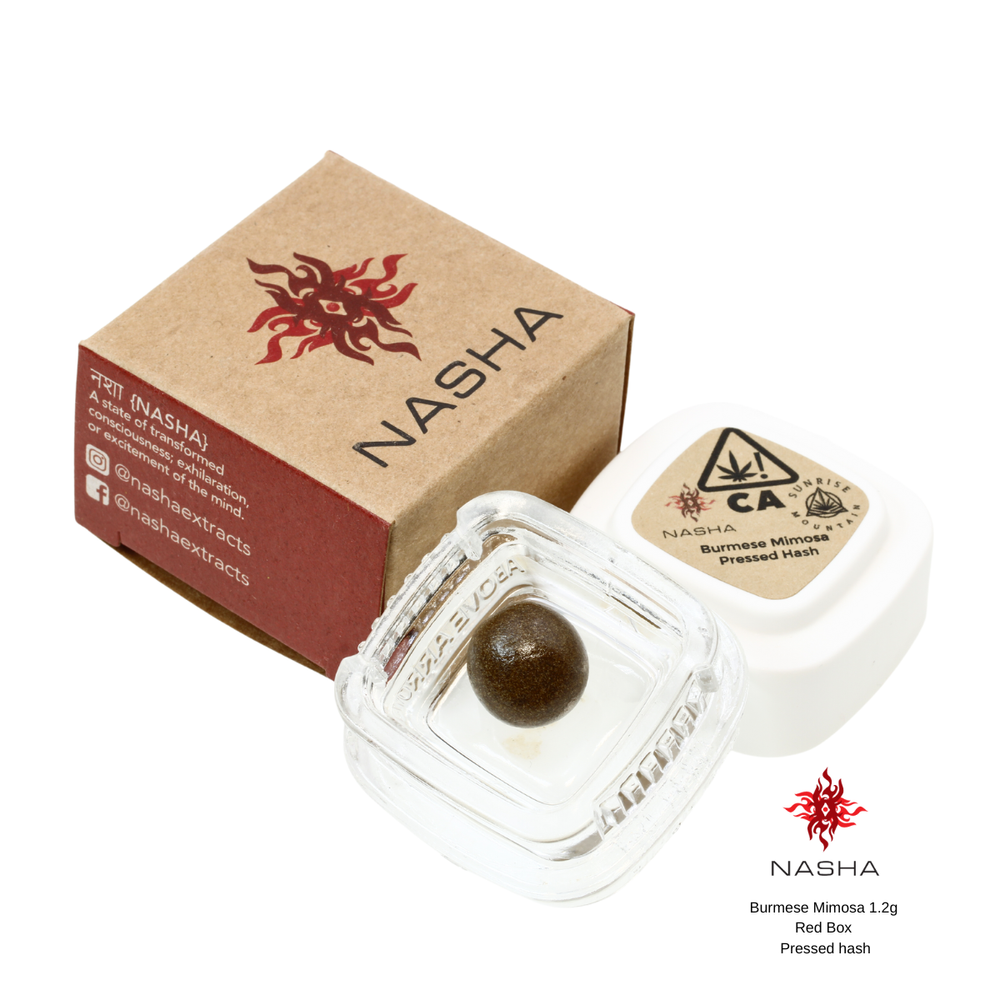 Photograph of product: BURMESE MIMOSA 1.2G RED PRESSED au chocolat
