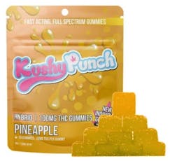 Photograph of product: Pineapple Fast Acting Gummies | 20pk