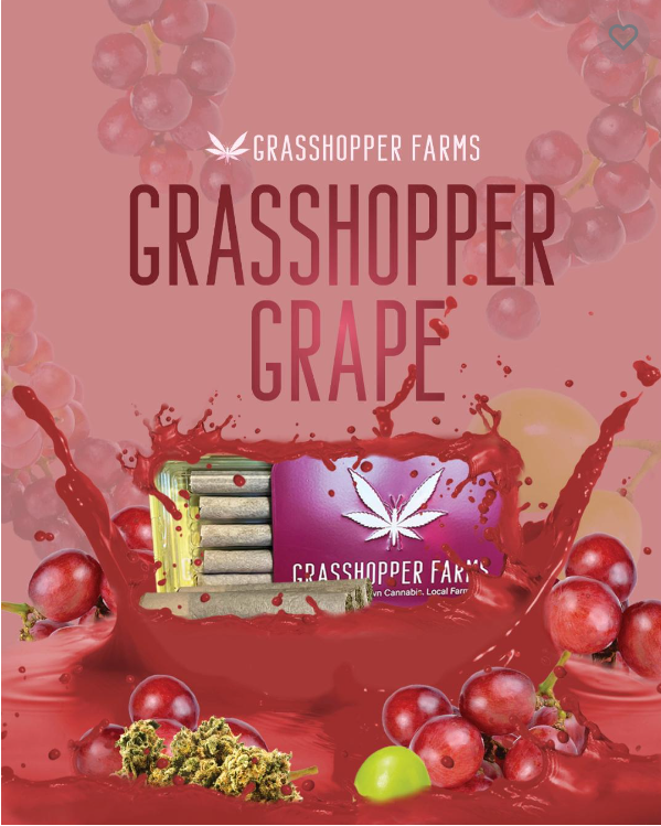 Photograph of product: Grape - Infused Pre-roll