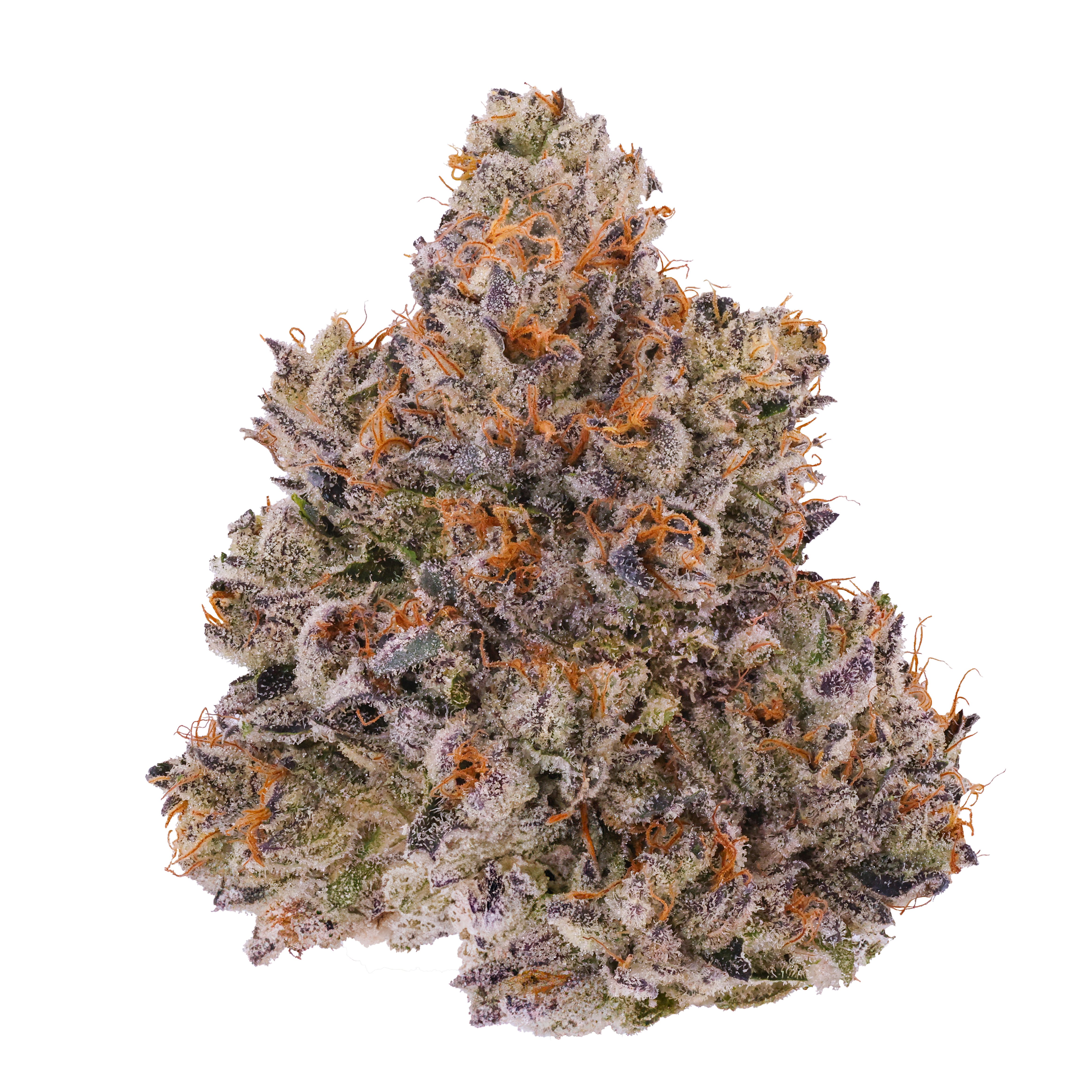 Photograph of product: Mad Dog