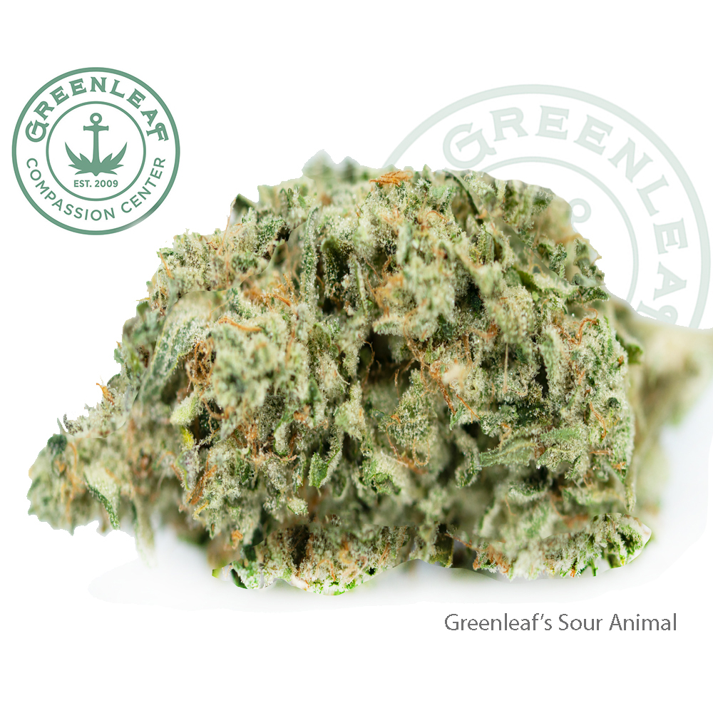 Photograph of product: Ruggle Joe's Garlic Gold - 3.5g