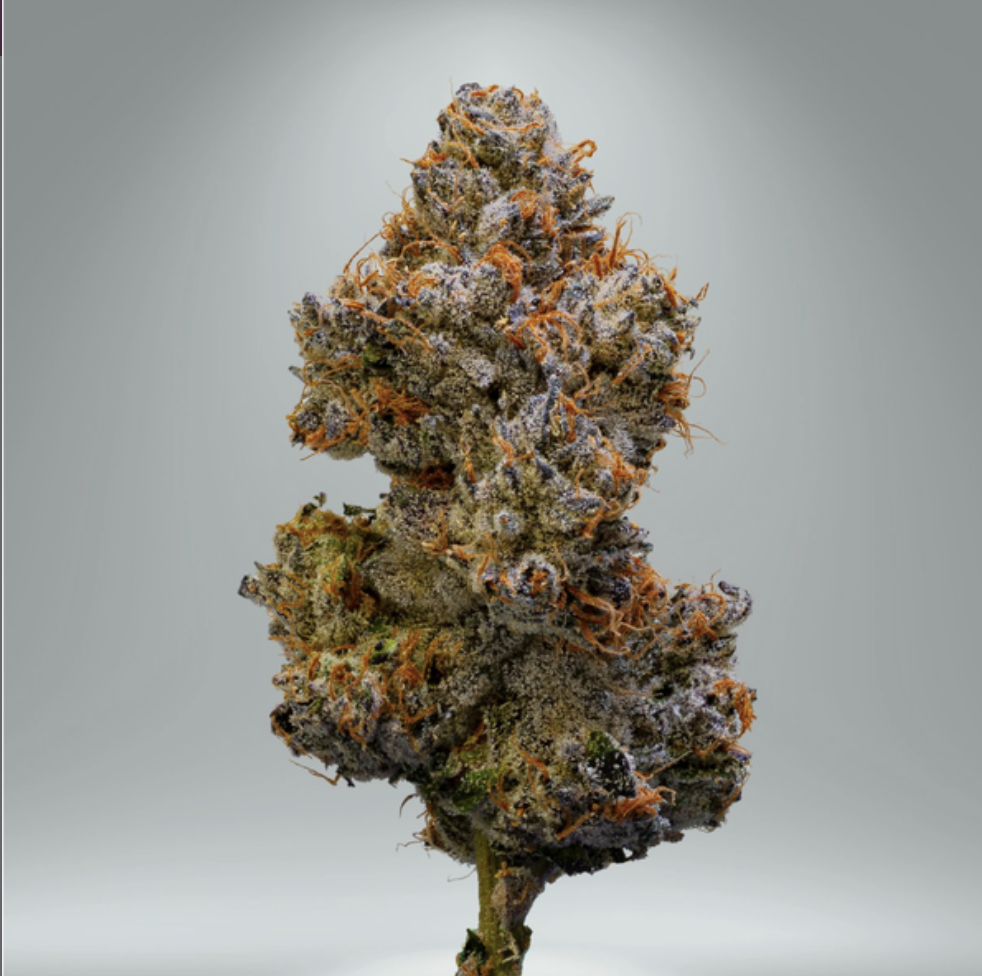 Photograph of product: Niche | Lemon Cherry Gelato | 3.5g