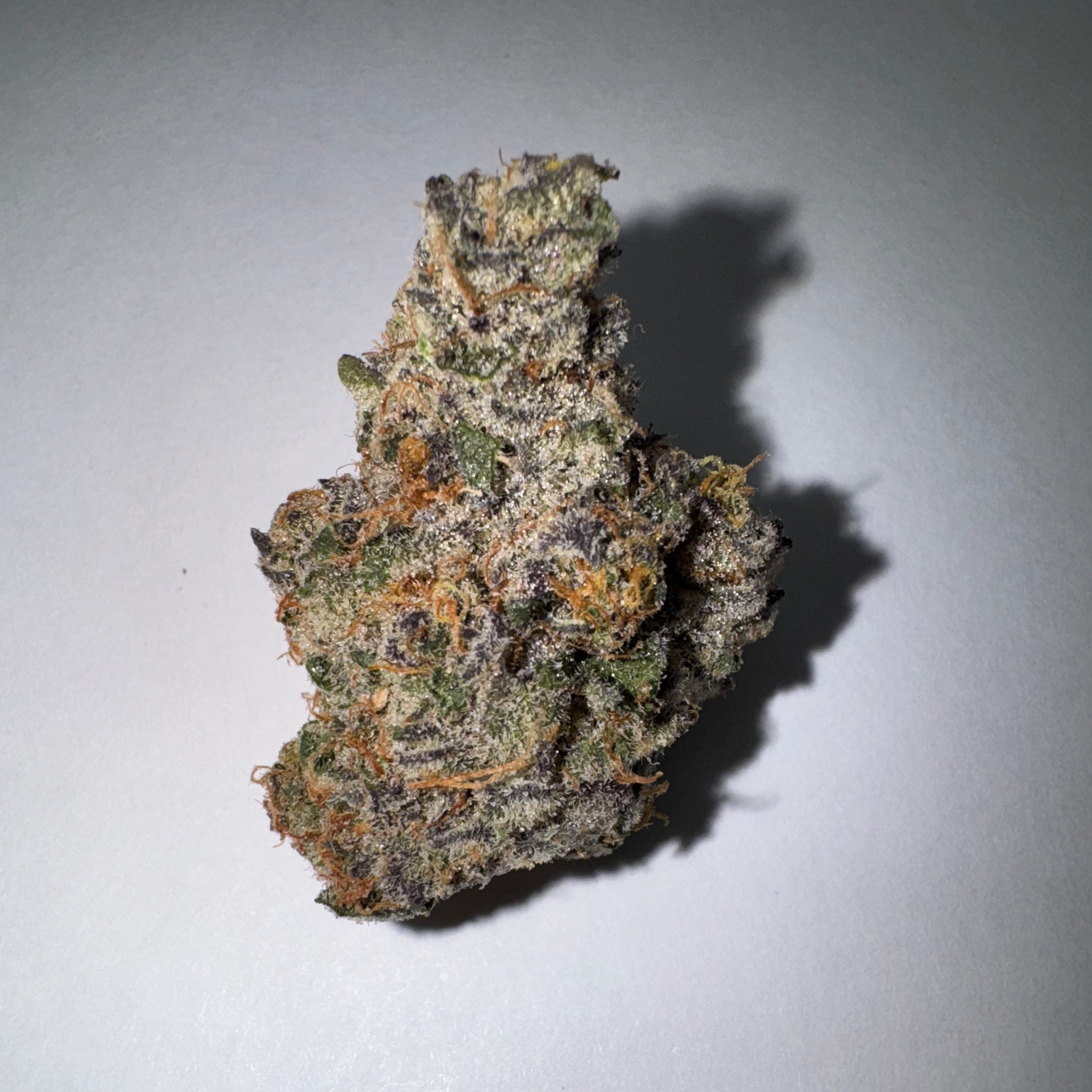 Photograph of product: Cherry Paloma (Sun Land)26% Oui'd 1770