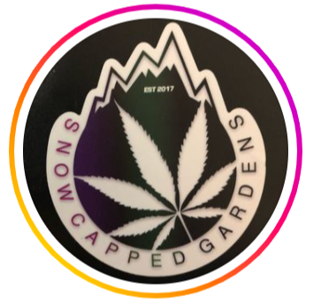 Photograph of product: Zkittles Kush Cake Single by Snowcapped Gardens