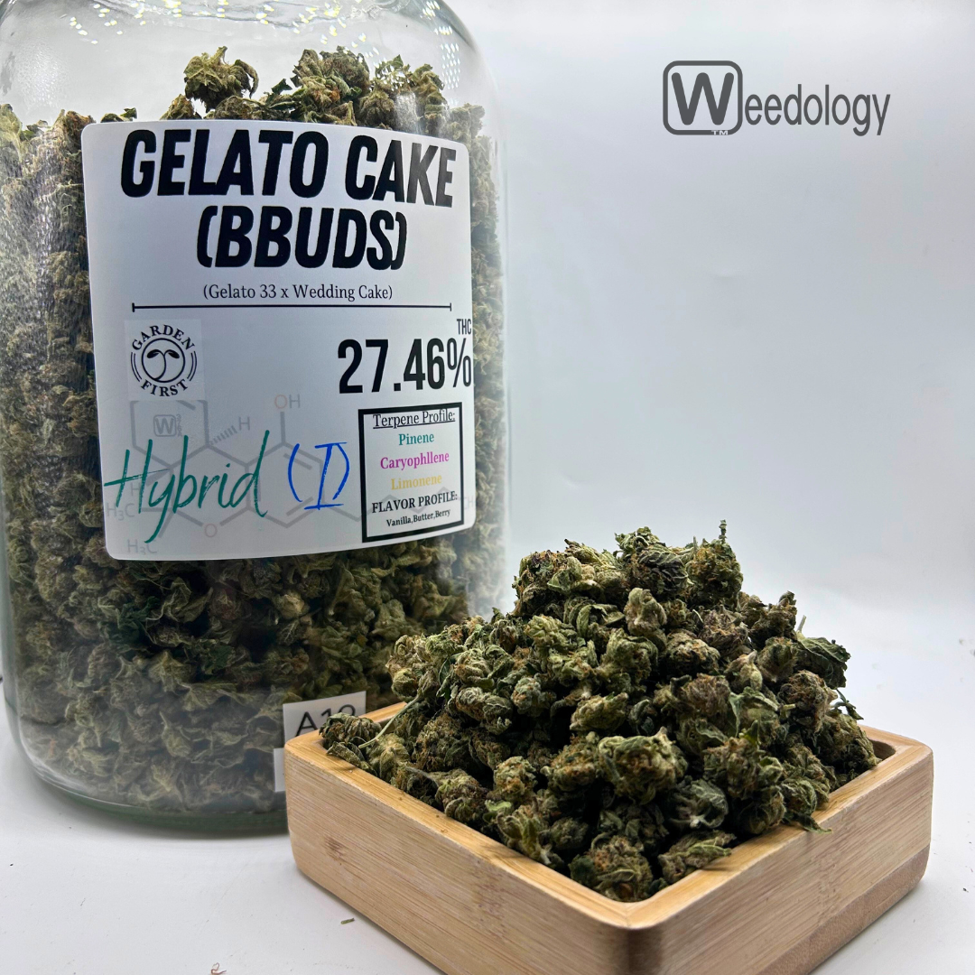 Photograph of product: Gelato Cake (BBUDS) (I-H) - 28g