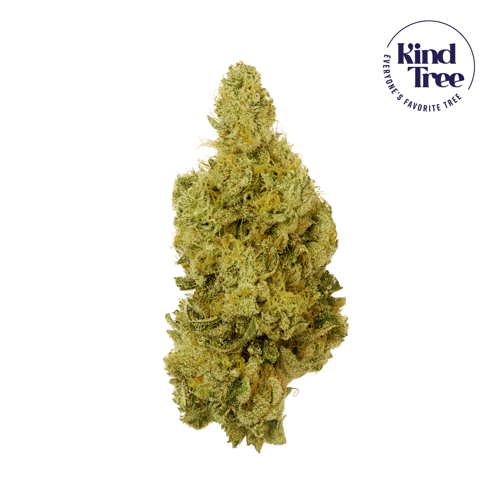 Photograph of product: Kind Tree Flower 3.5g- Tacocat