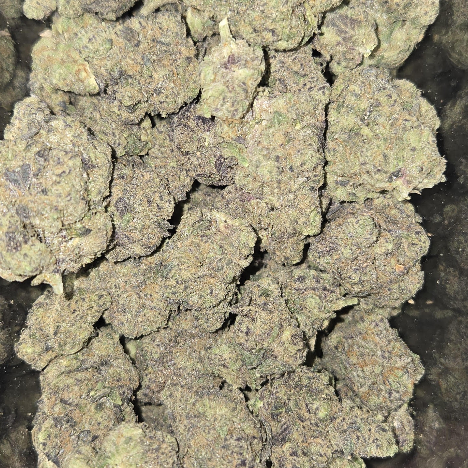 Photograph of product: Gas Tier Deli - Gush Mintz - 7g