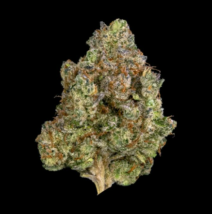 Photograph of product: CommCan | The Nightmare Flower - 28g